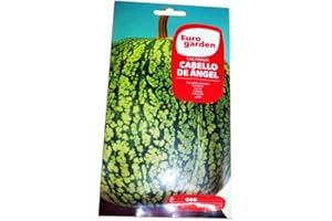 FPLUS Semillas fito calabaza cabello de angel 6 gr 00033