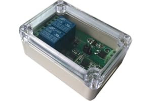 DSD TECH Module relais Bluetooth 4.0 BLE 2 canaux pour iPhone et Android (12 V)