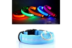Egurs Obroża dla psa z podświetleniem LED, ładowana przez USB, bezpieczna obroża dla psa, świecąca w ciemności, regulowana obroża dla dużych małych, średnich psów, niebieska, L