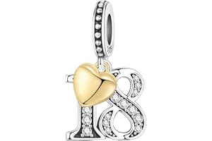 PANPOKI Nummer berlock för armband & halsband, sterlingsilver 925 med zirkon och 18K förgyllt hjärta, present till årsdag, fö