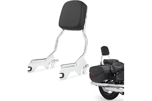 BRZOXIN Detachable Sissy Bar for Harley Davidson Softail Models 2018-2024, Passenger Backrest for for Softail Deluxe FLDE, Heritage Classic FLHC, Slim FLSL, Standard FXST 107, Street Bob FXBB (Chrome)