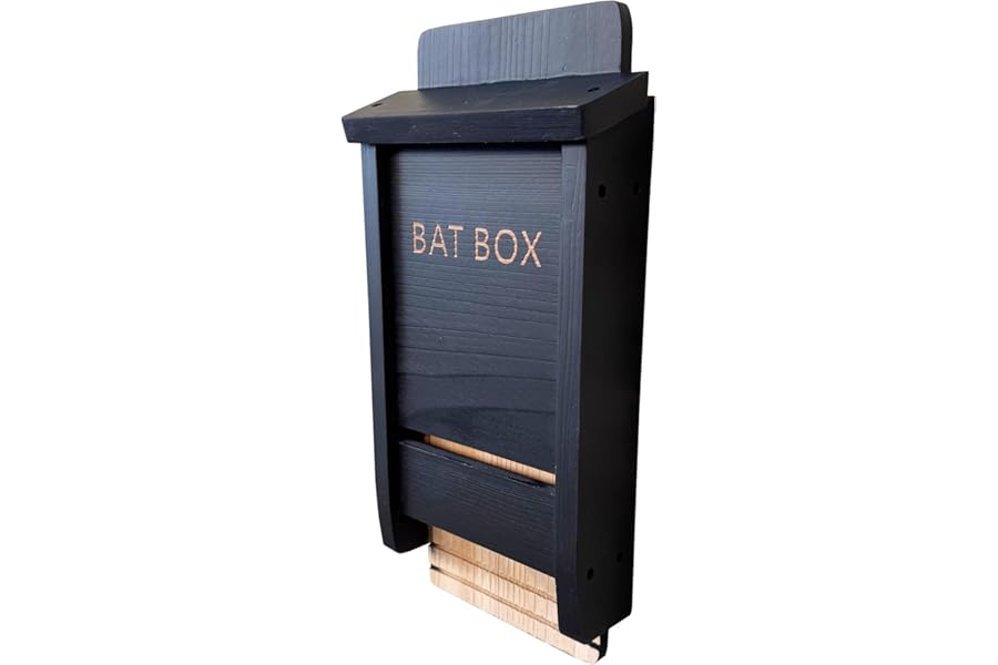 Selections Black Wooden Bat Nesting Roosting Box House with Gooved Interior