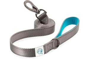 EMBARK PETS Embark Adventure smycz dla zwierząt domowych / psów z miękko wyściełanym uchwytem - długość 150 cm (niebieska)