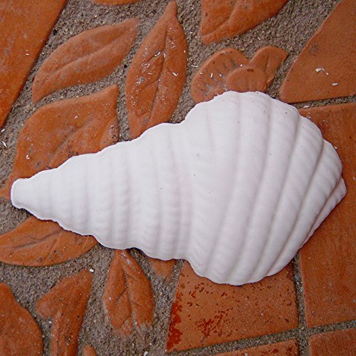 Giessform Muschel 4 - soft