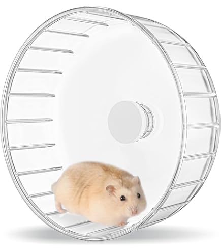 Cyrank Ruota Per Criceti Silenziosa | Giocattolo Esercizio Per Piccoli Animali | Materiale Traslucido - Foto 9