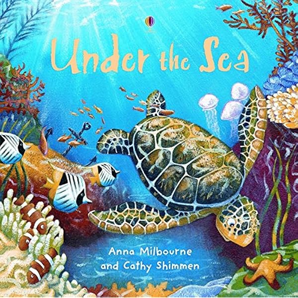 Under The Sea Usborne Picture Storybooks 1 Picture Books Amazon Co Uk Anna Milbourne Cathy Shimmen Books