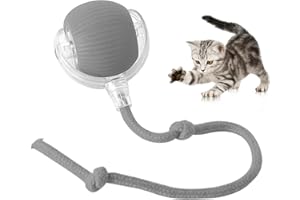 TTPOLONG Jouet Interactif pour, Balle Interactive Chat, Trois Modes réglables avec Fonction de réveil pour Chien Chat (Gris)