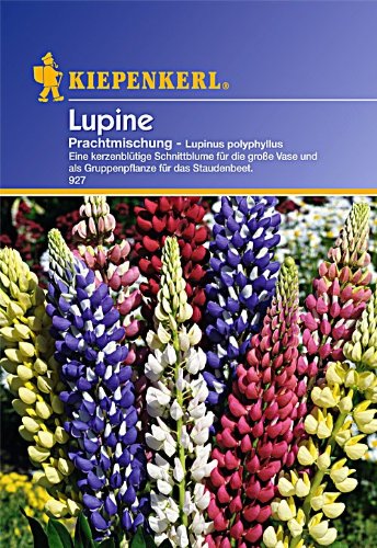 Sperli Blumensamen Lupinen mehrjährig, Mischung, grün