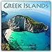 Produktbild Greek Islands - Die griechischen Inseln 2018: Original Avonside-Kalender [Mehrsprachig] [Kalender] (Wall-Kalender)