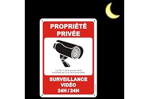 CHINYROZA Panneau Propriété Privée sous Vidéo Surveillance en Aluminium - Réfléchissant 250x180mm - Métal Etanche UV Résistant