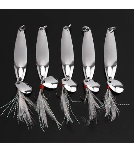 PRO FILSTAR Forellen Blinker Set - 2 Asymmetrische Löffelblinker Mit Drillingshaken Für Raubfischangeln