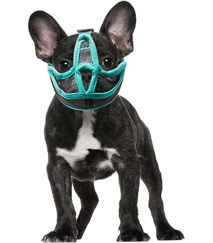 Maulkorb Für Hunde Mit Kurzer Schnauze – Atmungsaktives Mesh, Verstellbar – Für Bulldoggen, Mops & Andere