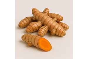 Fresh Turmeric Roots I Fresh Haldi I Curcuma Longa I from India I Pound Veg I 500G