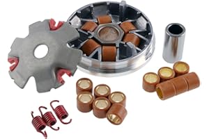 2EXTREME PERFORMANCE Variomatik kompatibel für Piaggio Sfera NSL, Zip SSL, TPH 50, APRILIA SR50 Street, NRG 50 Power DT AC, DERBI Boulevard 50, GILERA Stalker 50, SR50 R, Liberty 50 2T, VESPA ET2