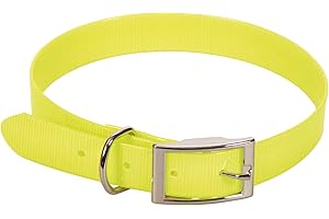 CHAPUIS SELLERIE Collier pour Chien Sangle Fluo PVC Jaune Largeur 15 mm, Longueur 35 cm, Taille S