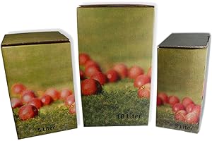 Landkaufhaus Mayer 2 St. Bag in Box KARTON für Saftschläuche, Saftbeutel (3 Liter)