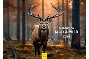 Edition Seidel Premium Kalender Faszination Jagd & Wild 2024 DIN A3 Wandkalender Natur Tiere Fuchs Hirsch Wildschwein Wildtier Waldtier Revier