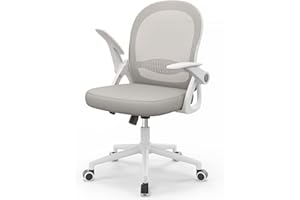 naspaluro Home Office Chair Ergonomic Desk Chair Swivel Computer Chair Mid-Back Mesh Chair with Flip-up Armrests and Lumbar Support for Home/Office - Gray