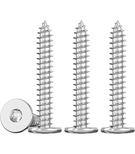 Vis à bois tête rondelle 4,5x25 mm RAL 9016 blanc pur tête large inox A2 Tx par 25