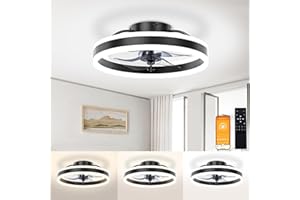 TaoQfunny Ceiling Fans with Lights Remote Control, Modern Lighting Fan Ceiling Light LED Dimmable Ceiling Fan Lamps, Fan Reversible and 3000K-6500K Smart 3 Light Color Change (Black, 15.7inch)