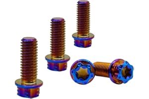 RISON-Titanium Viti in Titanio M8x1.25x20mm, 5 Pezzi Viti a Flangia Torx, Bulloni Flangiate Esagonali, Bulloneria Fissaggio con Rondella Viti a Macchina Filettate per Moto, Bicicletta, Auto