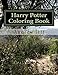 Produktbild Harry Potter Coloring Book: Supernatural Places and Characters