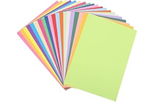 Aoliandatong A4 Coloured Paper, 100 Sheets Craft Paper for Kids, Colour Paper 70gsm Coloured Copier Paper, Assorted Pastel Paper for DIY Printer Art(20 Colours)