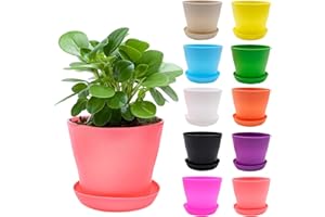 MEIYAXINWIN 10pcs Colores Pequeñas Macetas, 10cm Plastico Macetas Colores con Platillo, 10 Colore Pequeñas Maceta Decorativas Interior, Mini Coloridas Maceta Pequenas de Plástico Tiestos para Plantas Pequenas