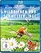 Produktbild Wildbienen und Schmetterlinge [Blu-ray]