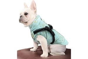 FUREINSTORE Manteau Chaud imperméable pour Chien, Gilet avec Doublure Polaire, vêtements réglables pour Chien Petit Moyen avec Anneau de Harnais, Sangle réfléchissante (Medium, Turquoise)