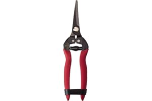 CORONA CLIPPER Corona – Largo Curvado SNIP