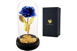 DREAM OF FLOWERS Fete des meres femme rose eternelle sous cloche, La Belle et la Bête Élégant Dôme en Verre avec Lumières LED Pine Base, Magic Décor Cadeaux pour Saint Valentin Fête Anniversaire Mariage fête des mères