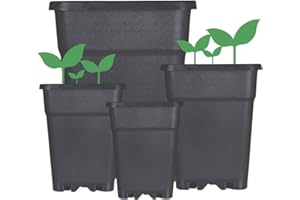 ‎WEEDNESS Weedness Blumentopf Kunststoff 18 Liter 30x30x32 cm Eckig Schwarz für Innen & Außen - Pflanzkübel Groß Pflanzen-Topf Pflanzgefäß Anzuchttopf Blumenkübel Balkon Garten Hoch XXL