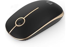 seenda Maus Kabellos, 2,4G Funkmaus mit 1600 DPI für PC/Laptop/Linux, 3 Leise Tasten, Für Links- und Rechtshänder, 18 Monate Akkulaufzeit(Schwarz und Gold)