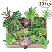 Produktbild Kalolary künstliche Sukkulenten-16 Packungen Gemischt Unpotted Dekor Stängel Gefälschte Sukkulenten Blume Pflanzen Viele Arten für Indoor/Outdoor DIY Blumenarrangement Home Dekoration