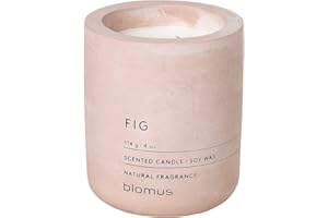blomus -FRAGA- Duftkerze S aus Sojawachs, Rose Dust, hochwertiger Raumduft, charakteristische Beton-Optik, Duft FIG, 24 h Brenndauer, besonders rußarm (H / B / T: 8 x 6,5 x 6,5 cm, Rose Dust, 65650)