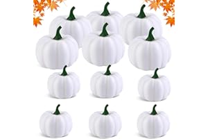 NHYDZSZ 12 Piezas Calabaza Blanca de Bricolaje, Calabazas Blancas Artificiales Falso, Calabaza Blanca de Plástico para Halloween, Acción de Gracias Festival, Otoño Decoracion (A)