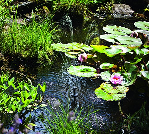 Esotec 101775 Solar-Teichpumpenset mit Akkuspeicher Größe 1 - 5