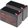 Jeu De Batteries De Remplacement T6 Power Pour Onduleur APC Back-UPS Pro 1200 - 12V VRLA - 216 VAh