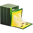 Orrdiffi 10 Pack Pest Sticky Pads Trap Extra Strong,Glue Trap Sticky Pads,Pest Sticky Boards for Indoor Home Kitchen Outdoor Garden（21X31cm）