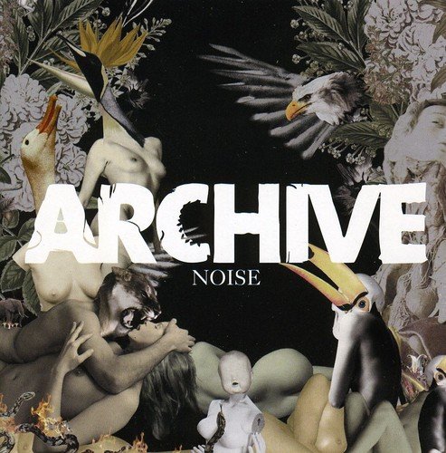 Book's Cover of Noise