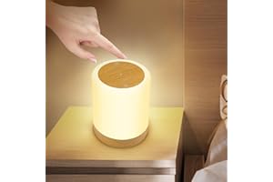 AISUO Touch Control Bedside Lamp, Camping Light with Dimmable Function, Multiple Colour & Timing Function, Adjustable Brightness for Kids Room Living Room,Christmas, Party.¡­