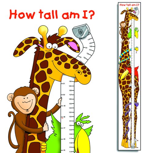 Small World Design Jungle Fun Children's Height Chart