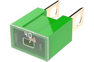 AUPROTEC Fusible bloc mâle PAL B, OTO BT Japon 30-140 A, choix: 40A ampères, vert, 1 pièce