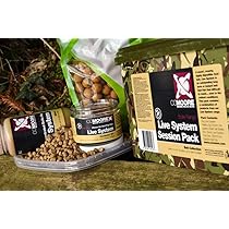 CC Moore Angel-Set Live System - Komplett-Set Mit Boilies & Pellets