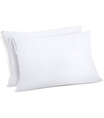 SONGMICS HOME Lot De 2 Oreillers 60x60cm Double Face Hiver Été - Coussin Garnissage 650g Lavable Machine