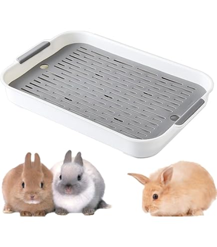 Bandeja Sanitaria Para Conejos Y Roedores Con Rejilla