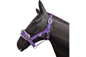 Horse Master Padded Headcollar Halter - Flexible Lunging Cavesson with Comfortable Fleece Lining and Adjustable Buckle Closure - Elegant Stable Accessories and Equipment (Pony, Purple)