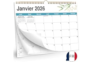 AEYAKA Calendrier mural 2026-21 x 28.7 cm - Format A4-14 mois de novembre 2025 à décembre 2026 - Mensuel à suspendre avec aperçu des vacances - Français