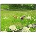 Produktbild horse coupling bremen pasture nature animals paddock ride QZone Customized Made to Order Cloth with Neoprene Rubber s steelseries mouse pad mousepads for girls 7.5*9 inch